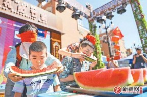 吃瓜娱乐区,揭秘明星幕后故事与八卦传闻