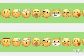 微信表情包吃瓜表达什么意思