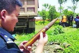 高射炮娱乐吃瓜