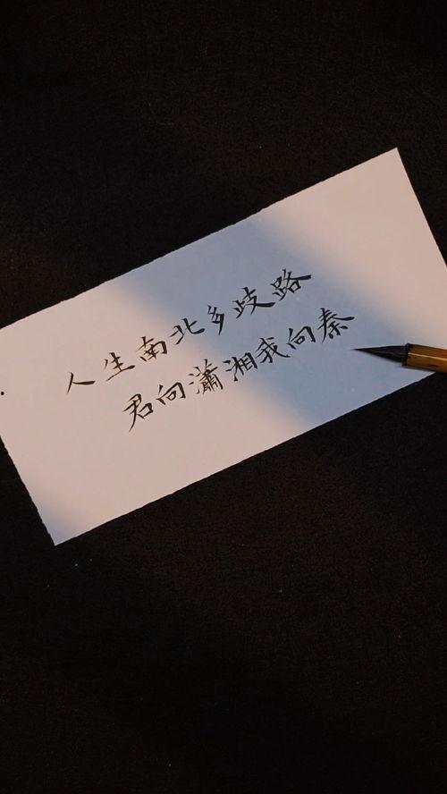 人生南北多歧路,探寻人生旅程中的抉择与成长