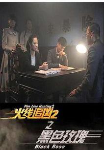 火线追凶2之黑色玫瑰,火线追凶2中的暗影阴谋